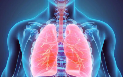 Exploring biological characteristics  of lung cancer in each patient gives clues on differences in the way the patient’s immune system fights against the tumour