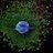 Moyal_lab
